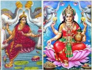 Das Mahavidya Kamala Mahalakshmi